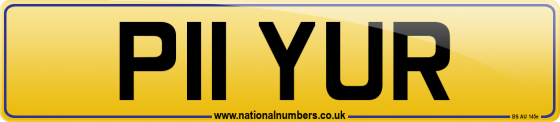 P11 YUR