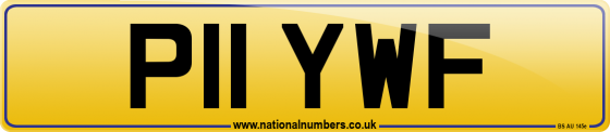 P11 YWF