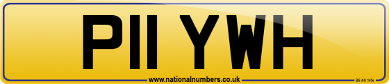 P11 YWH