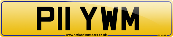 P11 YWM