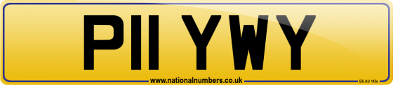 P11 YWY