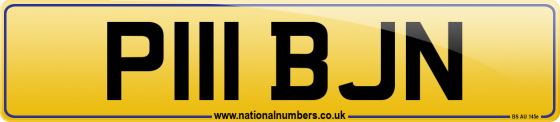 P111 BJN