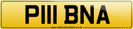 P111 BNA
