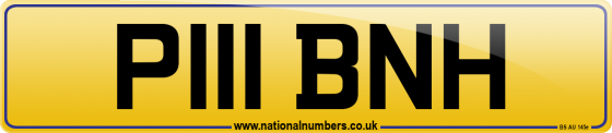 P111 BNH