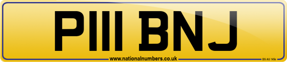 P111 BNJ