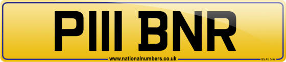 P111 BNR