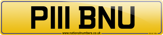 P111 BNU