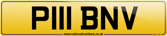 P111 BNV