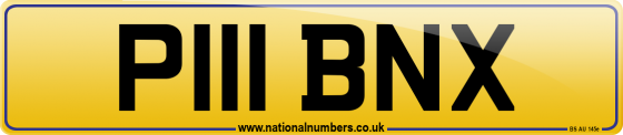 P111 BNX