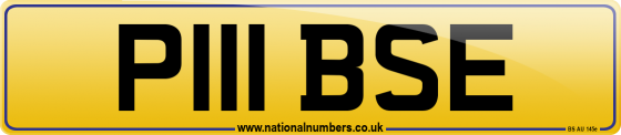 P111 BSE