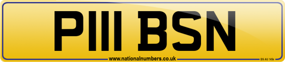 P111 BSN