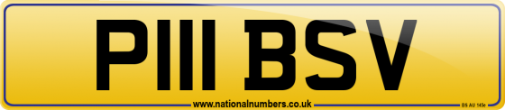 P111 BSV
