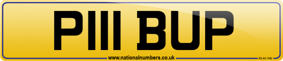 P111 BUP