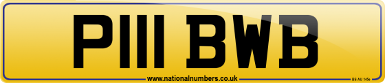P111 BWB