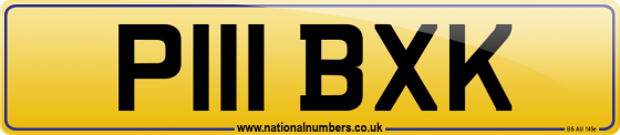P111 BXK