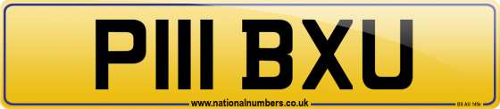 P111 BXU