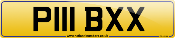 P111 BXX