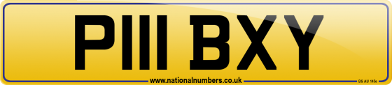 P111 BXY