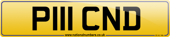 P111 CND