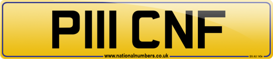 P111 CNF