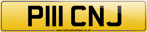 P111 CNJ