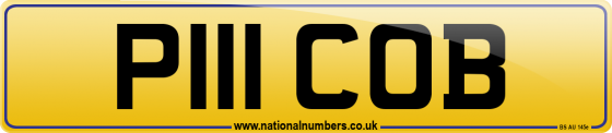 P111 COB