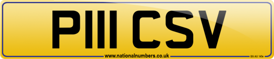 P111 CSV