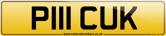 P111 CUK