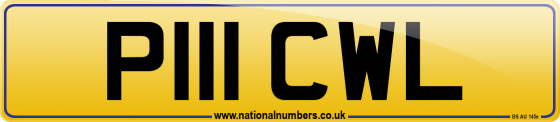 P111 CWL