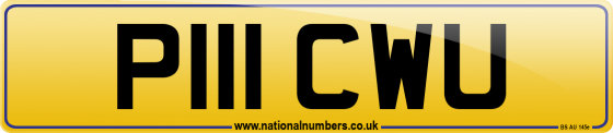 P111 CWU