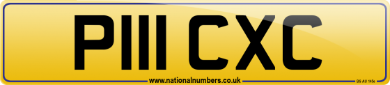 P111 CXC