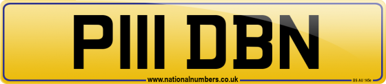 P111 DBN