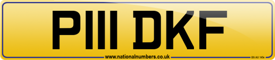 P111 DKF