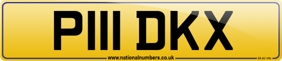 P111 DKX