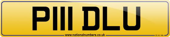 P111 DLU