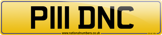 P111 DNC