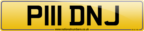 P111 DNJ