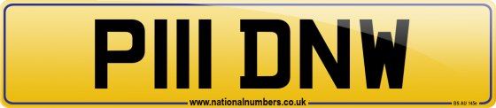 P111 DNW