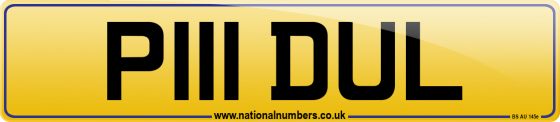 P111 DUL