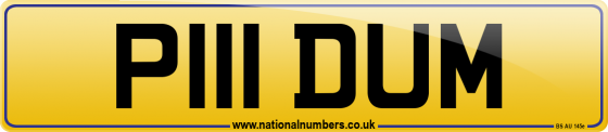 P111 DUM