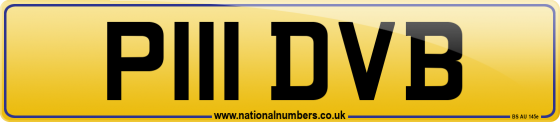 P111 DVB