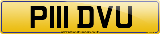 P111 DVU