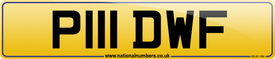 P111 DWF