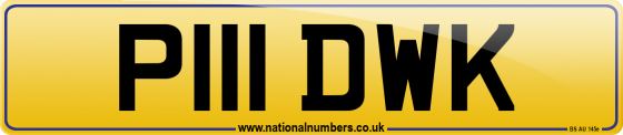 P111 DWK