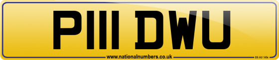 P111 DWU