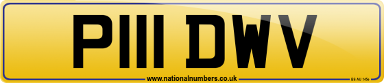 P111 DWV