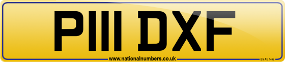 P111 DXF