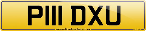 P111 DXU