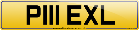 P111 EXL