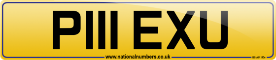 P111 EXU